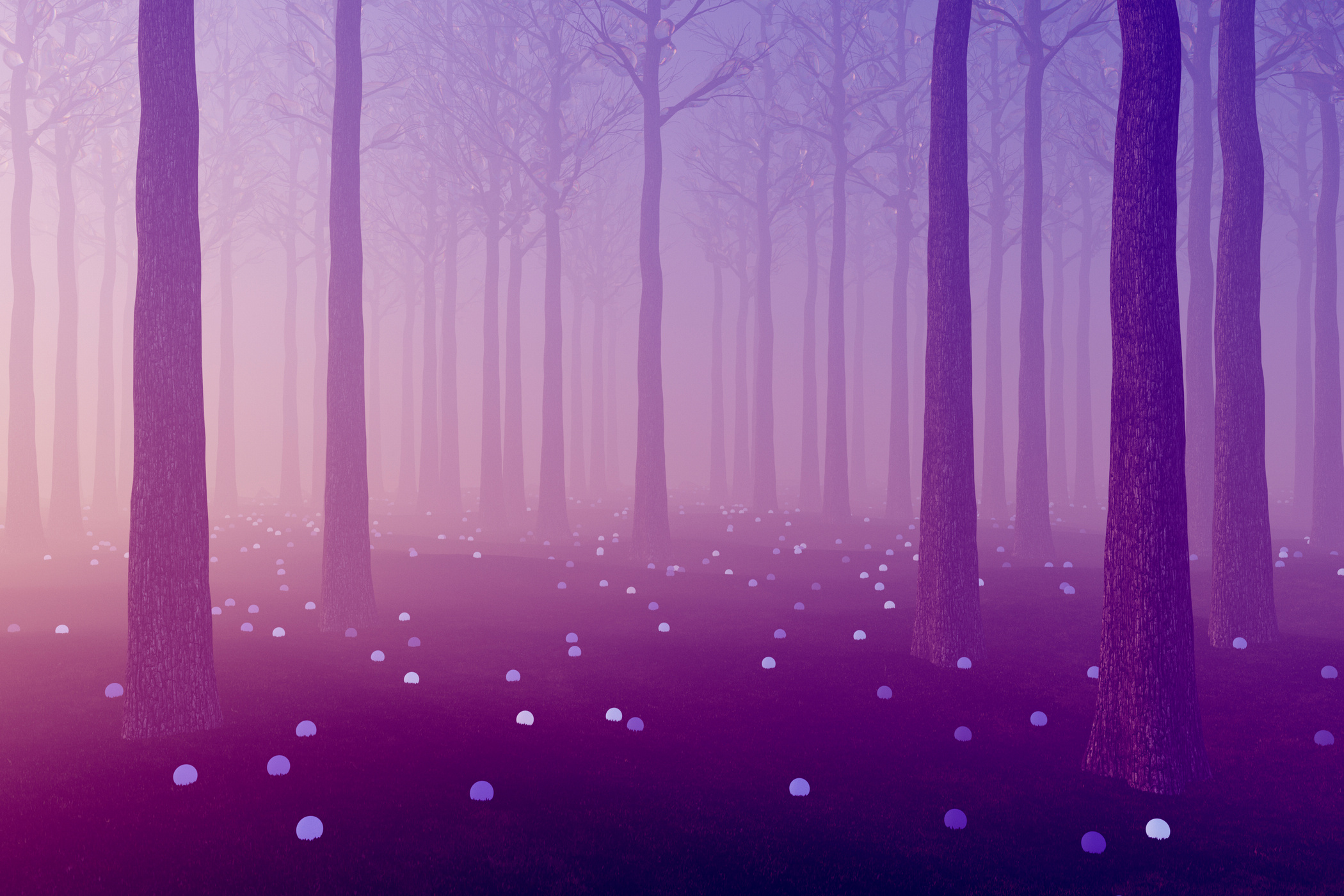 Fantasy violet glowing dark forest