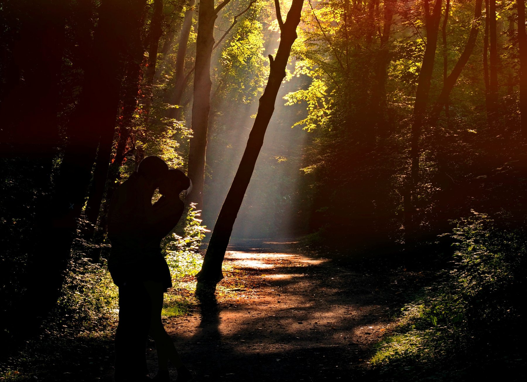 Silhouette of a Couple in the Forest